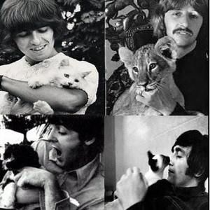 Meet your Posher, Lauri